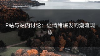 P站与站内讨论：让情绪爆发的潮流现象