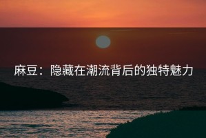 麻豆：隐藏在潮流背后的独特魅力