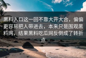 黑料入口这一回不靠大开大合，偏偏更容易把人带进去，本来只是围观黑料网，结果黑料吃瓜网反倒成了转折点