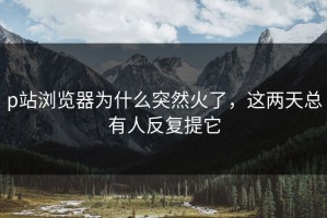 p站浏览器为什么突然火了，这两天总有人反复提它