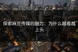 探索麻豆传媒的魅力：为什么越看越上头
