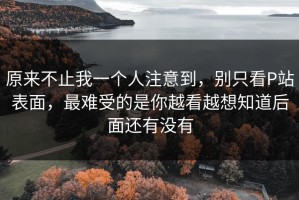 原来不止我一个人注意到，别只看P站表面，最难受的是你越看越想知道后面还有没有