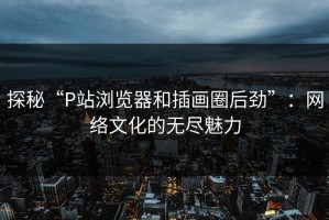 探秘“P站浏览器和插画圈后劲”：网络文化的无尽魅力