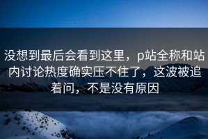 没想到最后会看到这里，p站全称和站内讨论热度确实压不住了，这波被追着问，不是没有原因