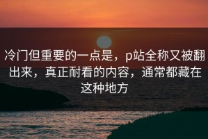 冷门但重要的一点是，p站全称又被翻出来，真正耐看的内容，通常都藏在这种地方