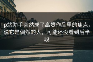 p站助手突然成了高赞作品里的焦点，说它是偶然的人，可能还没看到后半段