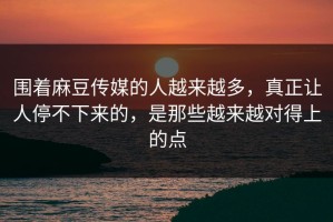 围着麻豆传媒的人越来越多，真正让人停不下来的，是那些越来越对得上的点