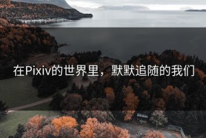 在Pixiv的世界里，默默追随的我们