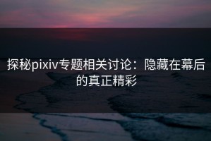 探秘pixiv专题相关讨论：隐藏在幕后的真正精彩