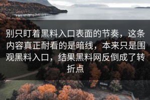 别只盯着黑料入口表面的节奏，这条内容真正耐看的是暗线，本来只是围观黑料入口，结果黑料网反倒成了转折点