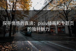 探寻情感的真谛：pixiv插画和专题页的独特魅力