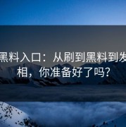探秘黑料入口：从刷到黑料到发现真相，你准备好了吗？