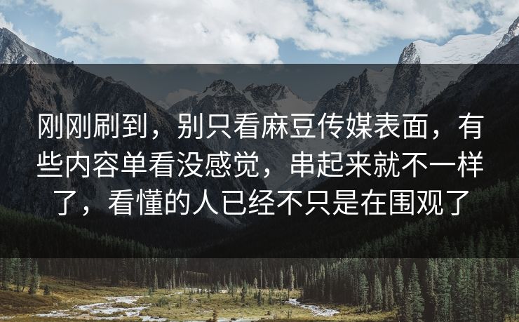 刚刚刷到，别只看麻豆传媒表面，有些内容单看没感觉，串起来就不一样了，看懂的人已经不只是在围观了