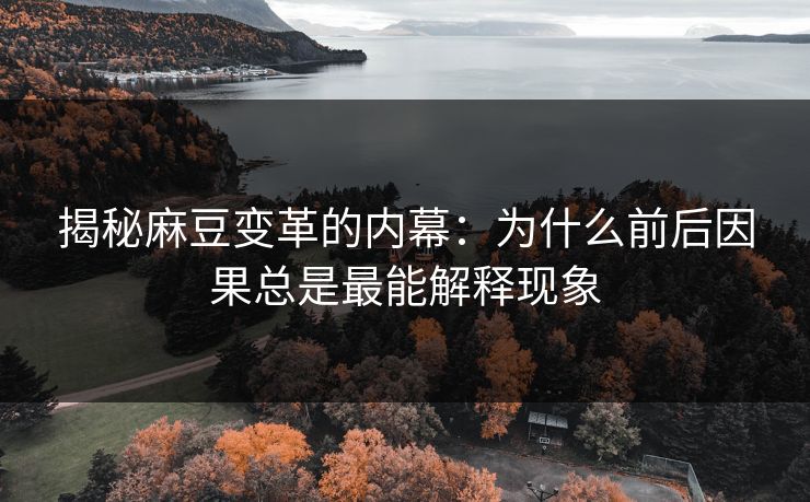 揭秘麻豆变革的内幕：为什么前后因果总是最能解释现象