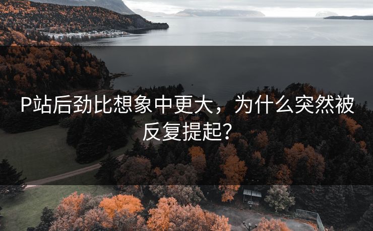P站后劲比想象中更大,为什么突然被反复提起? P站后劲比想象中更大,为什么突然被反复提起?