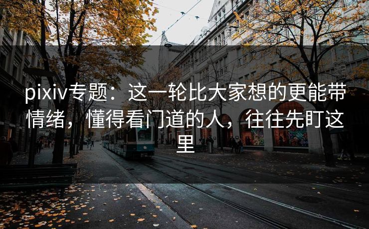 pixiv专题：这一轮比大家想的更能带情绪，懂得看门道的人，往往先盯这里