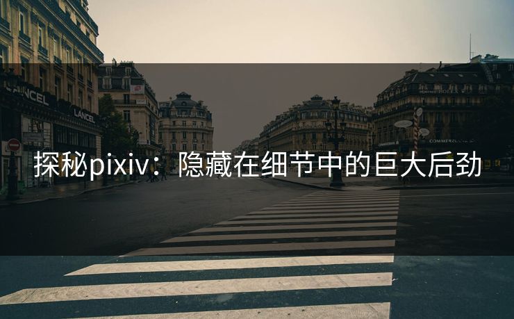 探秘pixiv：隐藏在细节中的巨大后劲