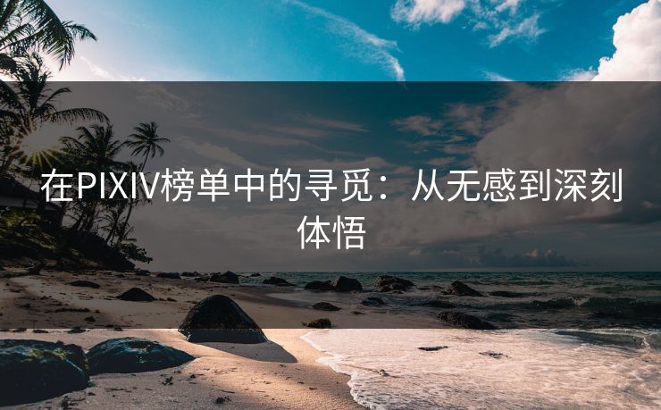 在PIXIV榜单中的寻觅：从无感到深刻体悟