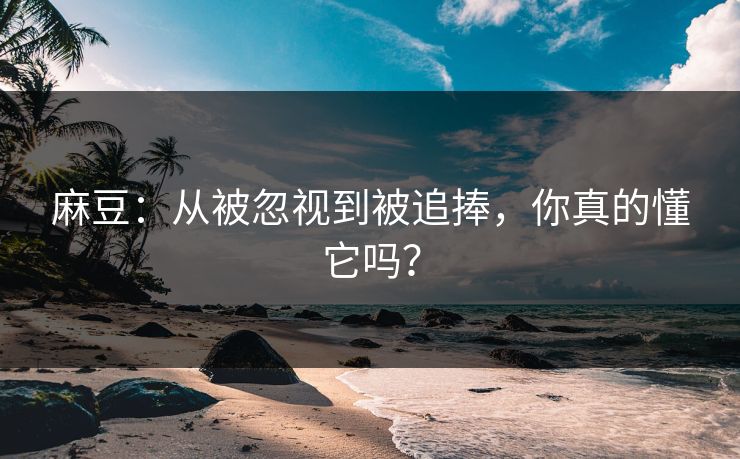 麻豆：从被忽视到被追捧，你真的懂它吗？