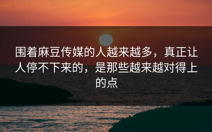 围着麻豆传媒的人越来越多，真正让人停不下来的，是那些越来越对得上的点